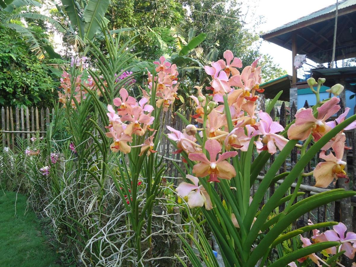 Lhoyjean Garden Hostel Batuan Exteriér fotografie
