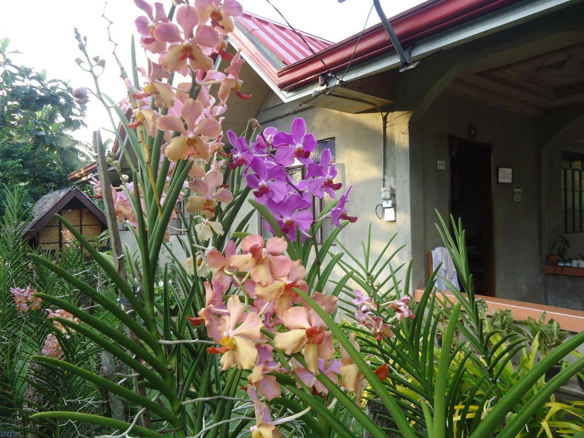 Lhoyjean Garden Hostel Batuan Exteriér fotografie