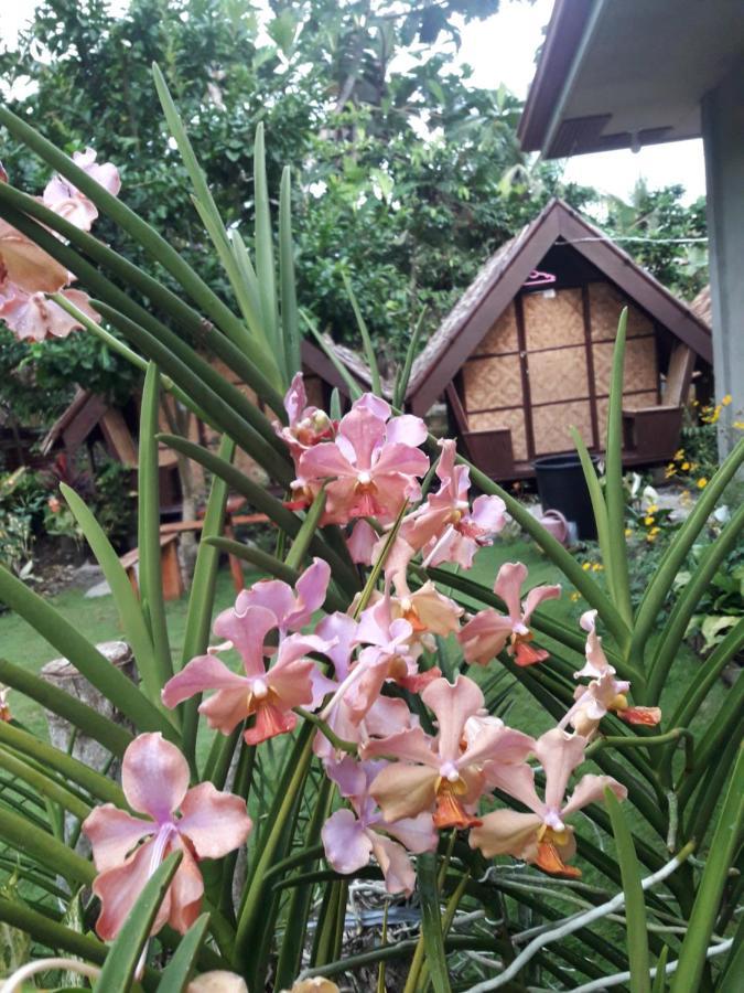 Lhoyjean Garden Hostel Batuan Exteriér fotografie